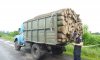 На Охтирщині зупинили авто з нелегальною деревиною