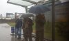 Как защищают от дождя новые остановки в Сумах
