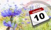 10 червня - події дня та свята