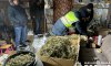 У Києві затримали сумчанина, який налагодив постачання марихуани через телеграм-канал