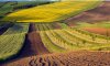 Рынок земли в Украине: озвучены цены за гектар