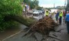 В Сумах ураган наломал дров и сорвал крышу таможни