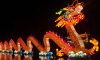 На Сумщине отпразднуют китайский новый год