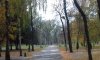 В городском парке Сум обрежут полторы сотни деревьев