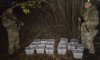 На Сумщине пограничники обнаружили более 175 кг красной икры из РФ