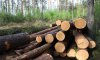 «Путивльский агролесхоз» заплатит 102 тыс. грн за незаконную вырубку деревьев