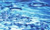 На Сумщине водоканал заплатит 1,4 млн грн за пользование водными ресурсами без спецразрешения