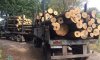 Сумские копы остановили грузовик с нелегальной древесиной