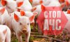 На території Лебединської громади зафіксовано вірус африканської чуми свиней
