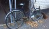 Полицейские разыскали угнанный велосипед социального работника