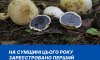 На Сумщині зареєстрований перший випадок отруєння грибами в цьому році