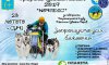 В Сумах пройдет чемпионат Украины по ездовому спорту на собаках
