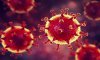 В Сумах за неделю смертность от коронавируса выросла в 5 раз