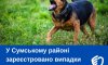 У Сумському районі зареєстровано випадки сказу у тварин