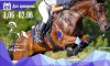 В Сумах пройдет чемпионат города по конному спорту