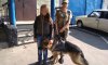 На Сумщине полицейский пес Грей разыскал несовершеннолетнюю «путешественницу»