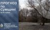 На вихідних на Сумщині прогнозують похолодання