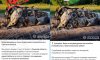 роспропаганда поширює фейк про розстріли поліцейського авто мобілізованими зеками на Сумщині