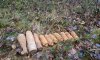 На Сумщине пиротехники уничтожили найденный грибниками арсенал боеприпасов