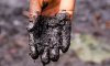 Больше 240 тыс. гривен возместили нефтяники за загрязнение гектара земли на Сумщине