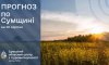 На Сумщині знову прогнозують 35-градусну спеку