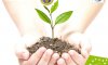 У Сумах відбудеться ІV аграрний форум «Органічне виробництво – повага до себе та своєї землі»