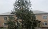 В Лебедине вандалы поиздевались над новогодней елкой