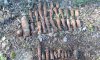 На Сумщине спасатели нашли в лесу 36 боеприпасов