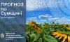 На Сумщині прогнозують знову спеку понад 30 градусів