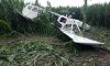 На Сумщине разбился самолет: пилот погиб на месте аварии (обновлено)