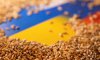 Перепони імпорту української агропродукції вплинули на внутрішні ціни