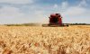 USAID допоможе аграрному сектору України на 60 млн доларів