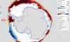 В Антарктиді безпрецедентно швидко тане крига
