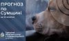 Що прогнозують сумські синоптики на початку тижня?