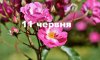 11 червня - події дня та свята 