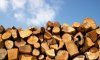 На Сумщині досі не всі потребуючі отримали паливну деревину