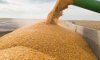 Україна експортувала понад 36 млн тонн зерна