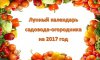 Лунно-посевной календарь 2017 и советы по выращиванию урожайной рассады