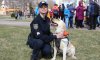 Спасенная полицейскими собака стала «поисковиком»