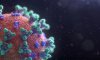 Как протекает коронавирус у человека и как меняются симптомы в течении болезни: инфографика