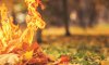 Сумчан лякають штрафами за спалювання листя