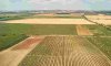 “Земельний банк” - ефективне використання земель сільськогосподарського призначення та поповнення бюджету