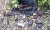 В Сумском районе посреди поля нашелся черный пакет. С минами и гранатами