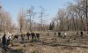 В Сумах прокуроры высадили елки в городском парке
