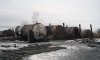 На Сумщине полиция разоблачила незаконное производства древесного угля на сумму 3,6 миллиона