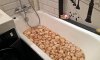 Российские туристы засолили грибы в ванной пятизвездочного отеля Швейцарии