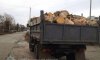 На Сумщине полицейские остановили три грузовика, которые незаконно перевозили древесину