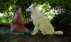 Лампо: Вірний пес (Маґдалена Нєц, 2023) IMDb 6/10