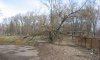 В Сумах в городском парке упавшее дерево заждалось коммунальщиков