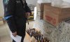 Правоохоронці Сумщини вкотре виявляють продаж алкоголю на території області 